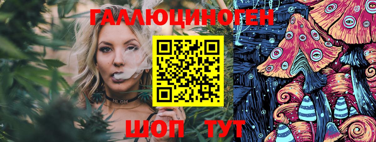 Псилоцибиновые грибы Psilocybe  Галлюциногенные грибы ЛСД  Вход с VPN  Гатчина 