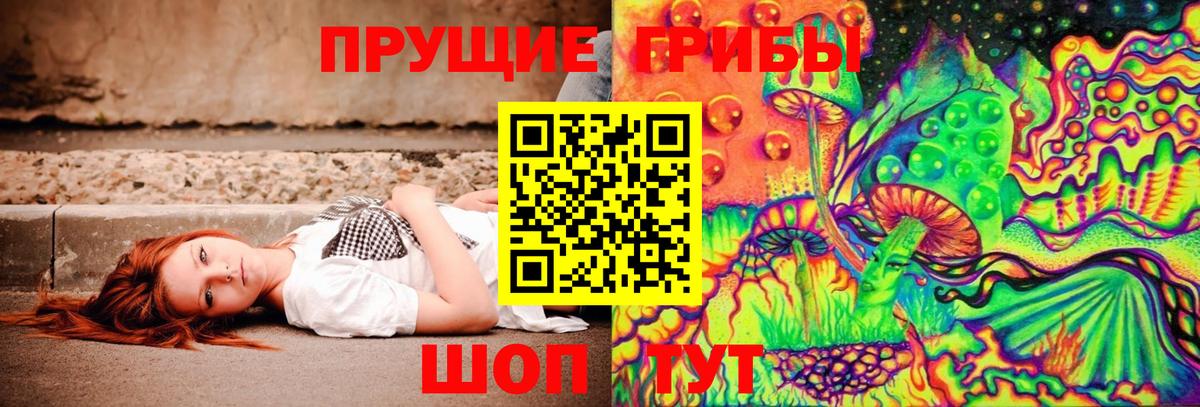Псилоцибиновые грибы мицелий Гатчина